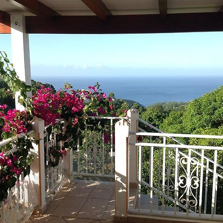 Villa Des Iles Basse-Terre Kültér fotó