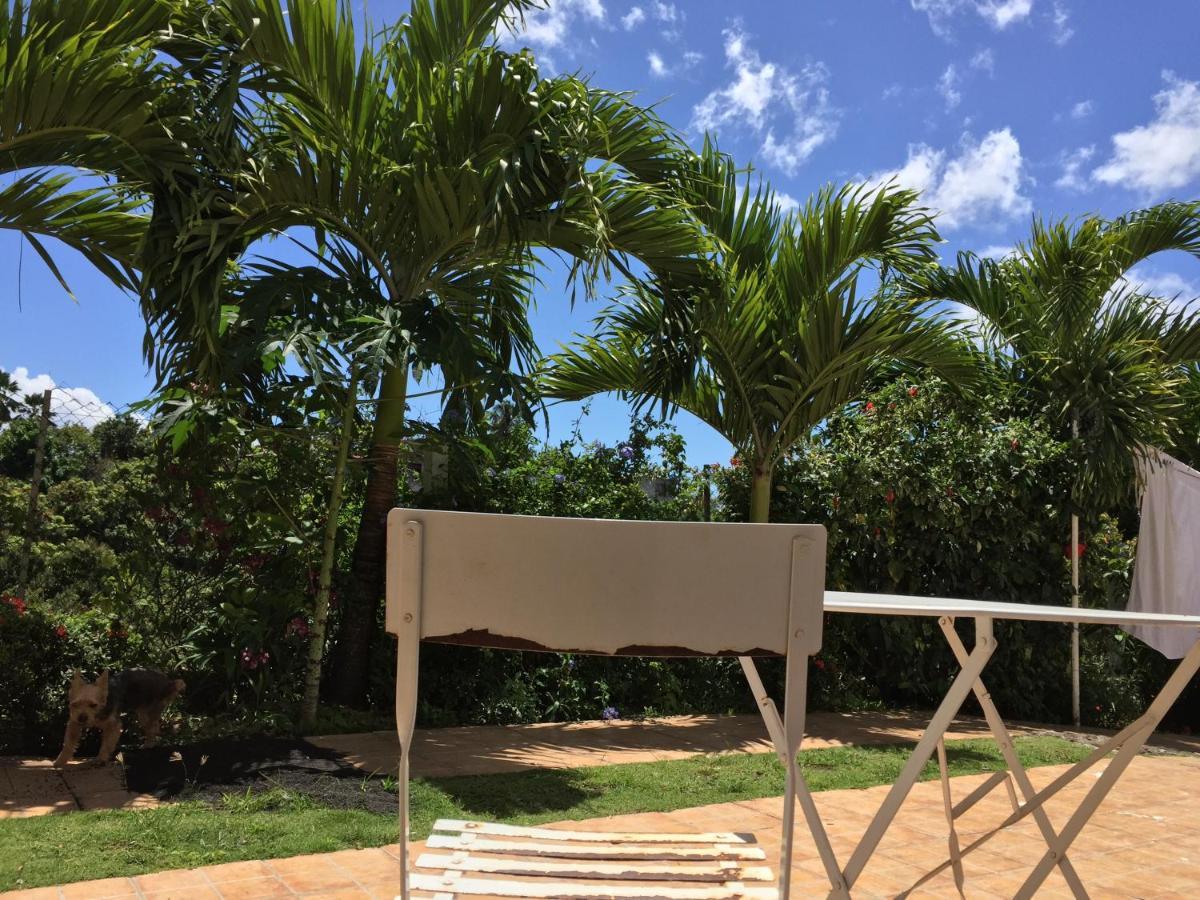 Villa Des Iles Basse-Terre Kültér fotó