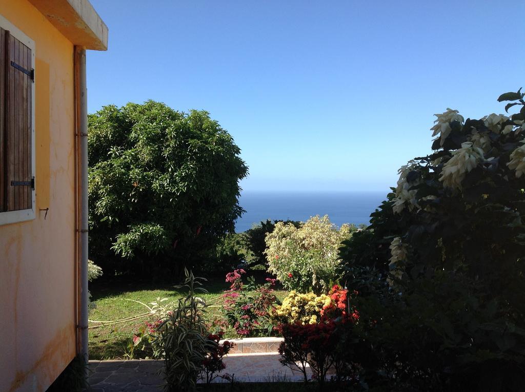 Villa Des Iles Basse-Terre Kültér fotó